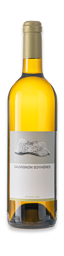 Weinflasche Sauvignon Soyphières